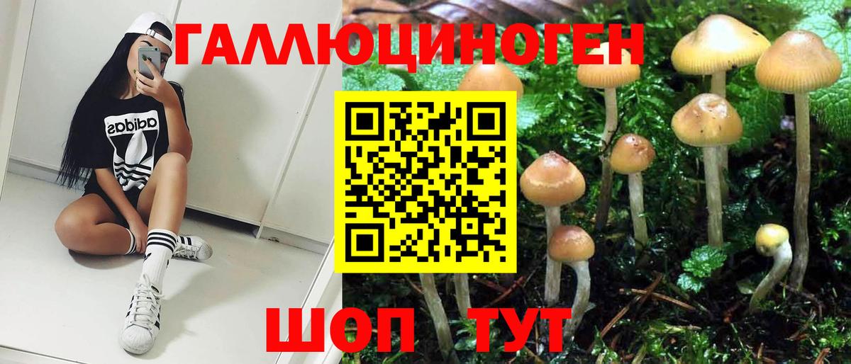 Псилоцибиновые грибы мухоморы Белово